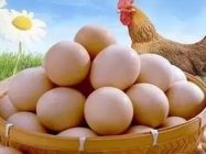 激素依赖性皮炎能吃鸡蛋吗
